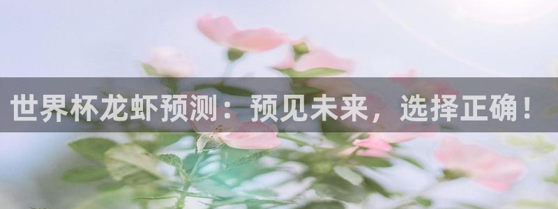 世预赛欧洲赛程表：世界杯龙虾预测：预见未来，选择正确！