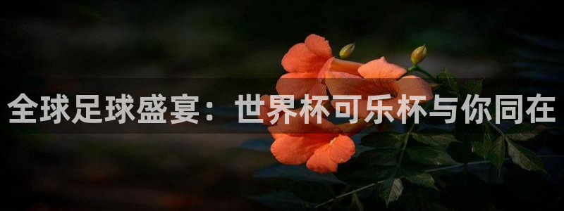 世界杯赛程表：全球足球盛宴：世界杯可乐杯与你同在