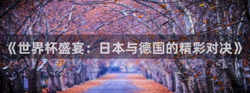 世界杯对阵表：《世界杯盛宴：日本与德国的精彩对决》