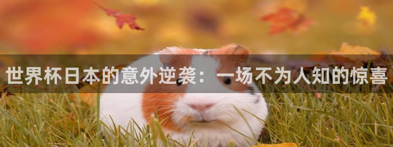 世俱杯直播：世界杯日本的意外逆袭：一场不为人知的惊喜