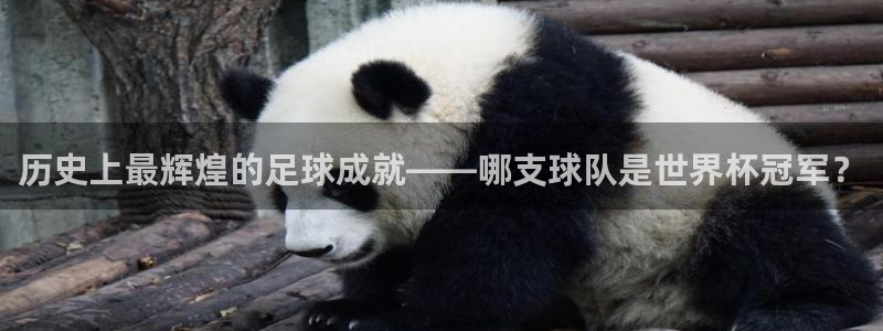 2026世界杯中国队：历史上最辉煌的足球成就——哪支球队是世界杯冠军？