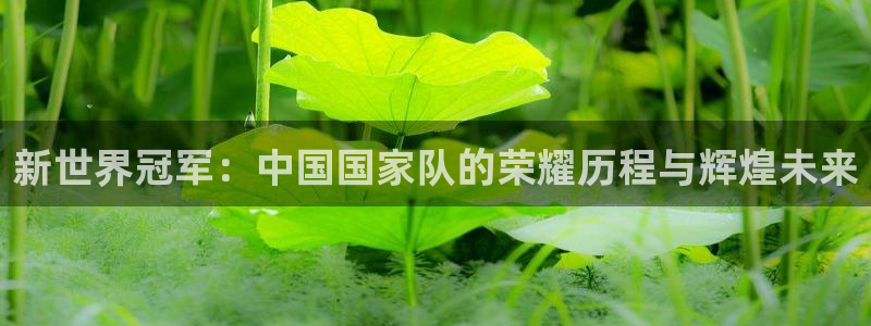 今年的世界杯：新世界冠军：中国国家队的荣耀历程与辉煌未来