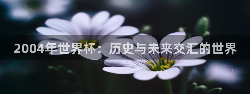 2026世界杯买球：2004年世界杯：历史与未来交汇的世界