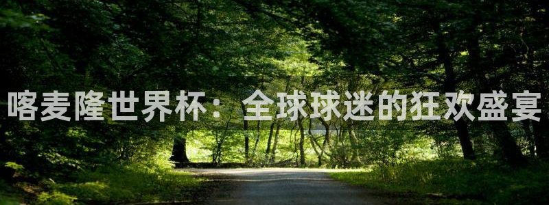 世界杯葡萄牙赛程：喀麦隆世界杯：全球球迷的狂欢盛宴