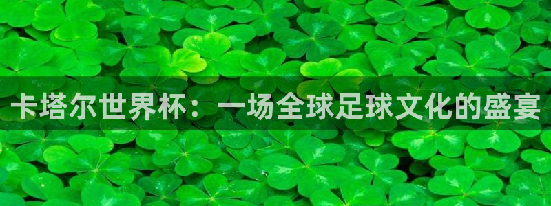 2026年世界杯：卡塔尔世界杯：一场全球足球文化的盛宴