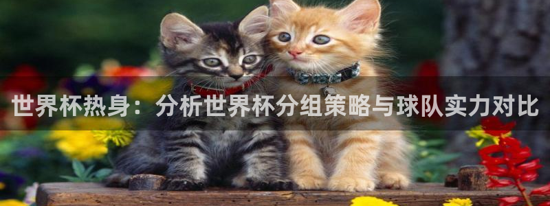 世界杯第一场比赛：世界杯热身：分析世界杯分组策略与球队实力对比