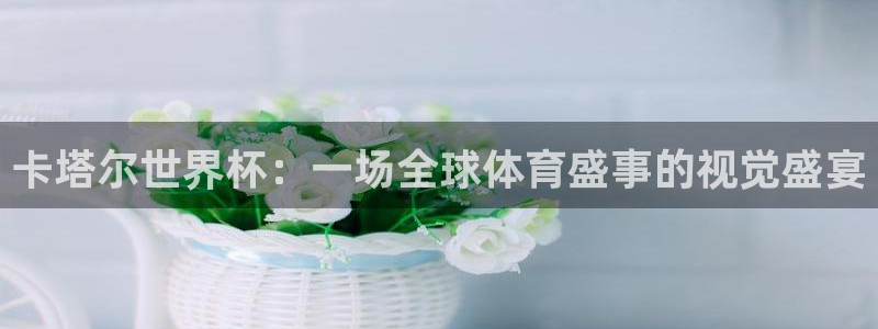 世界杯 赛程：卡塔尔世界杯：一场全球体育盛事的视觉盛宴