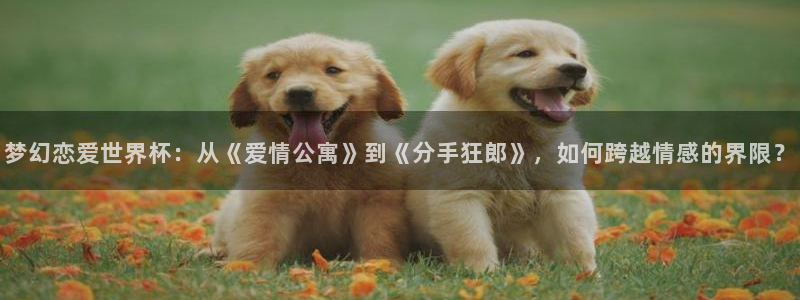 世界杯2026预选赛：梦幻恋爱世界杯：从《爱情公寓》到《分手狂郎》，如何跨越情感的界限？